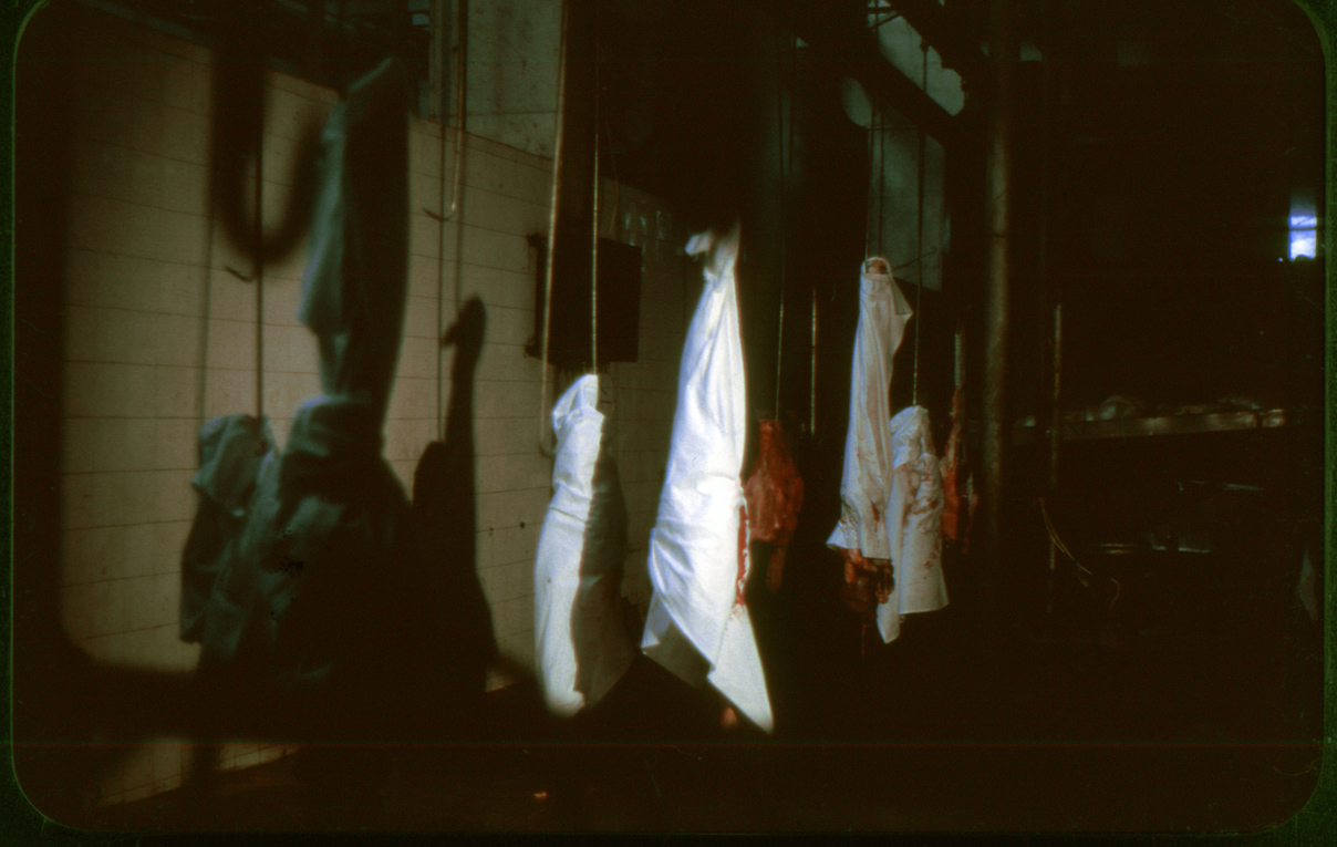 covered_heads_dia1