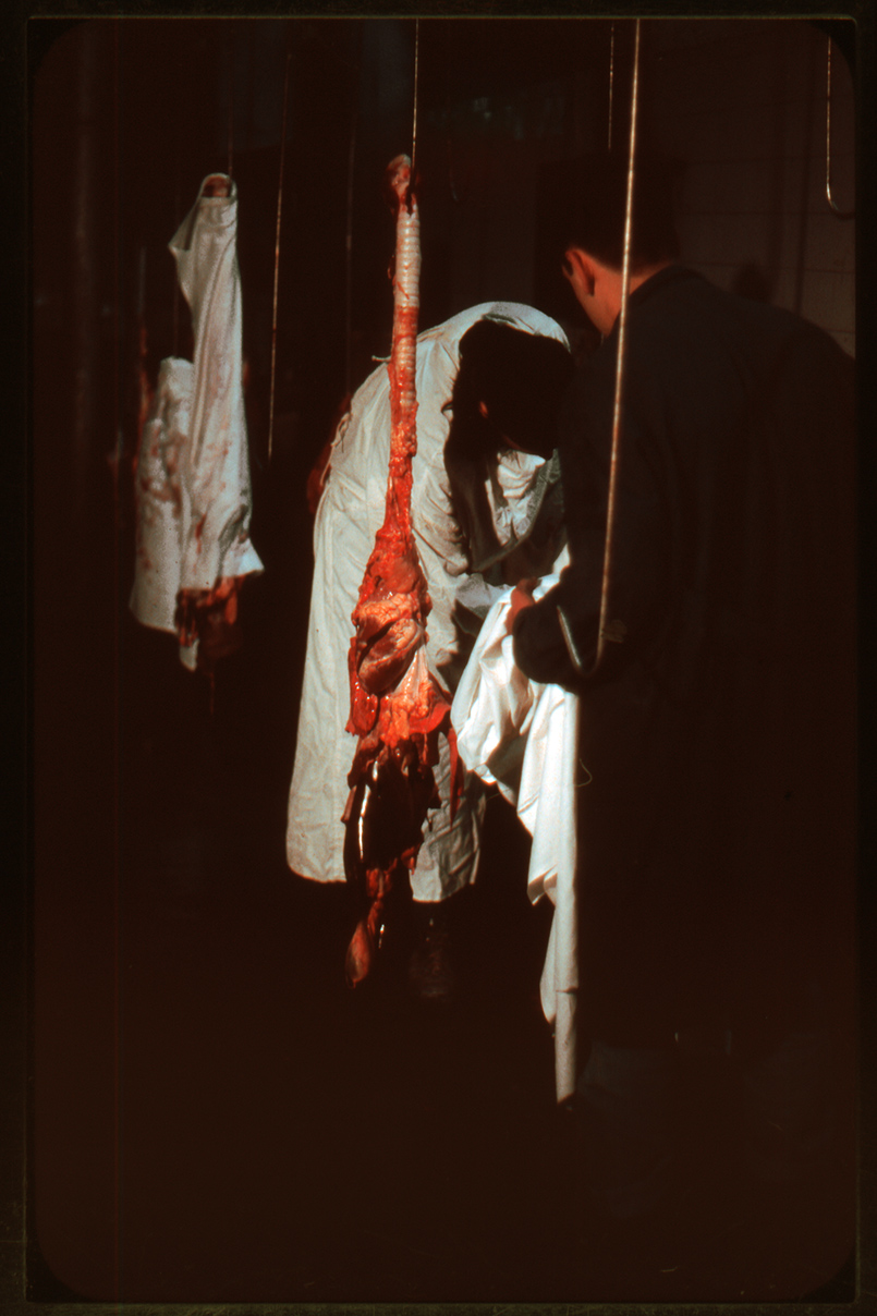 covering_heads_dia1