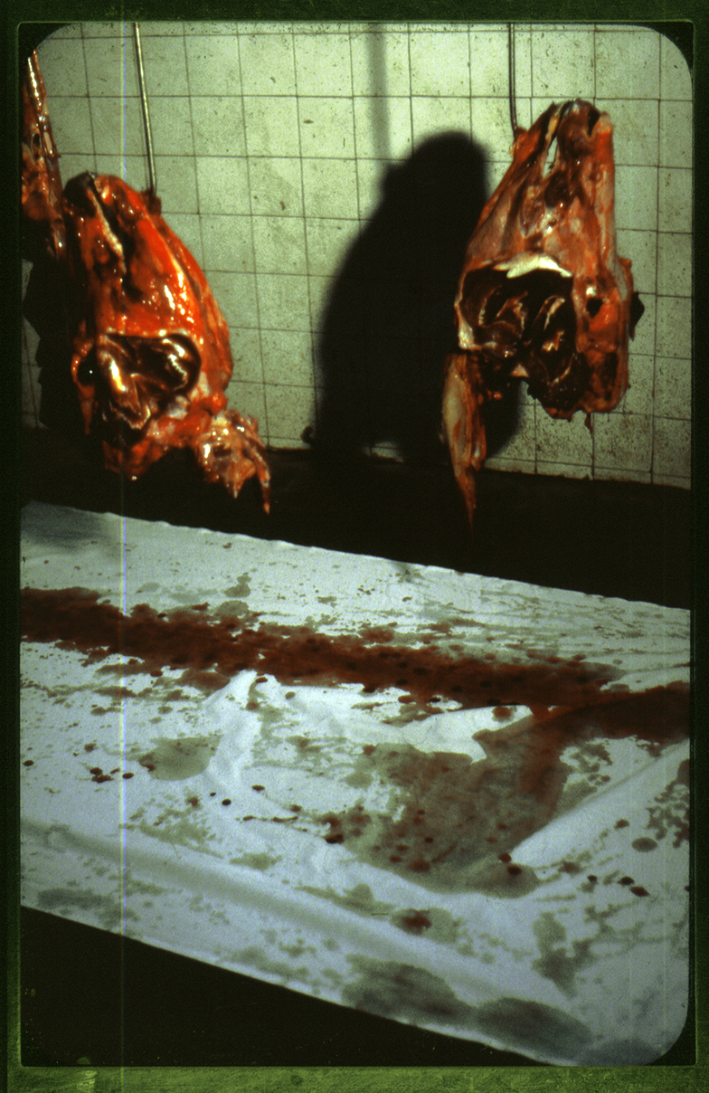 bullheads_dia